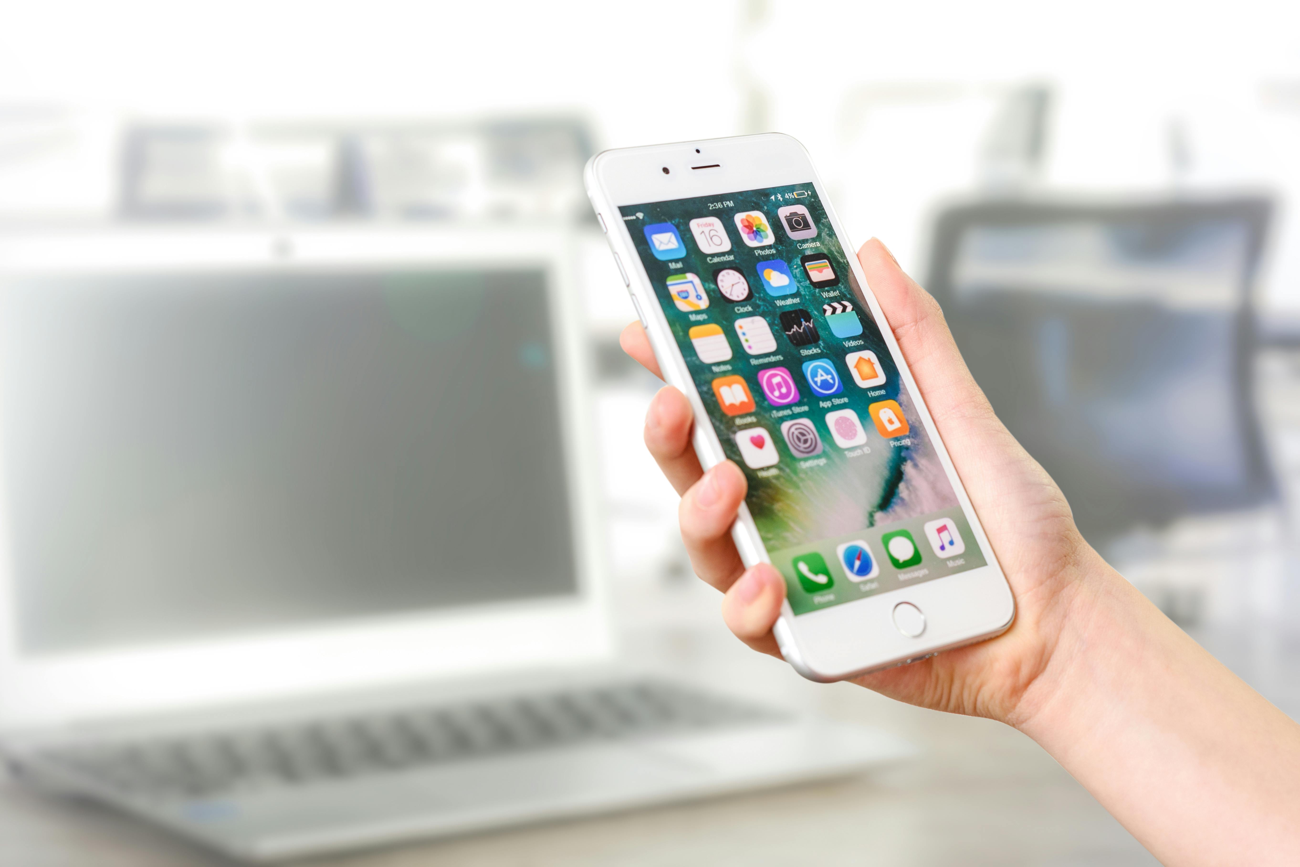 person holding a phone
